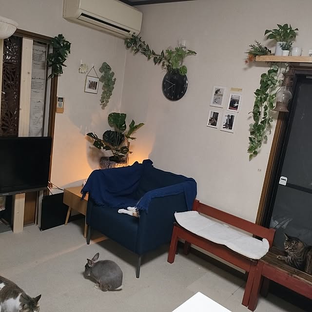 mori_6_12さんの部屋