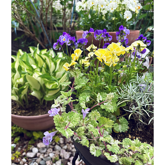 CoCo0617さんの実例写真