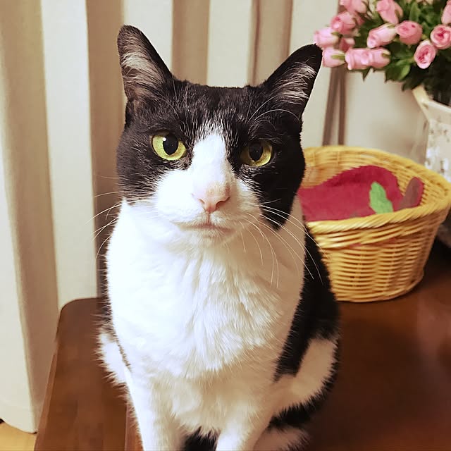 kumiさんの実例写真