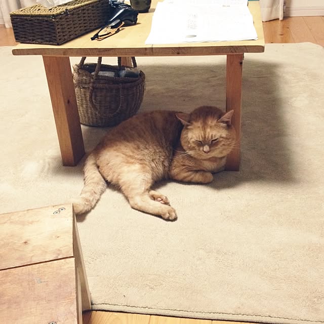chiimalさんの実例写真