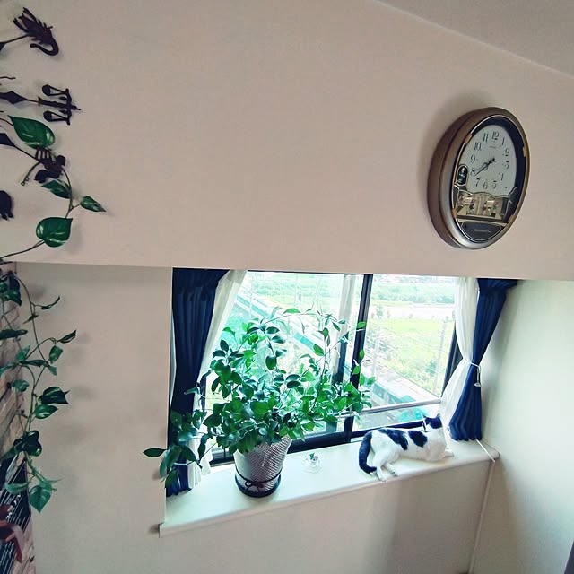 NOAHさんの部屋