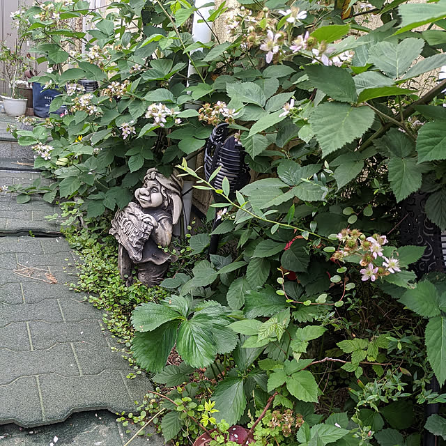 fuuujan10さんの実例写真