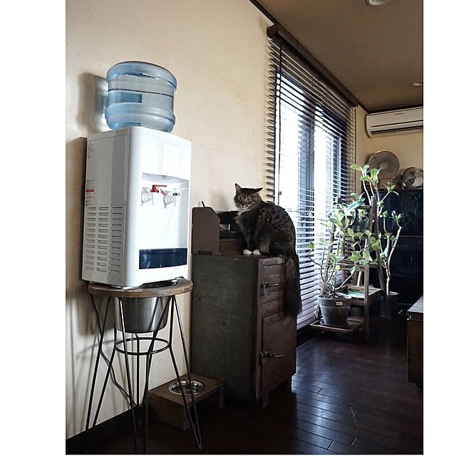 jnkaiさんの実例写真