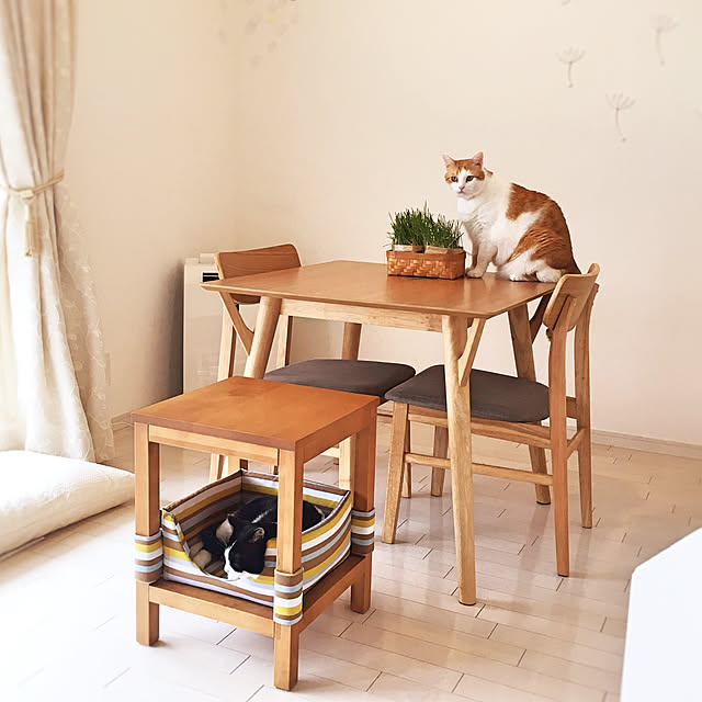 bikkeさんの実例写真