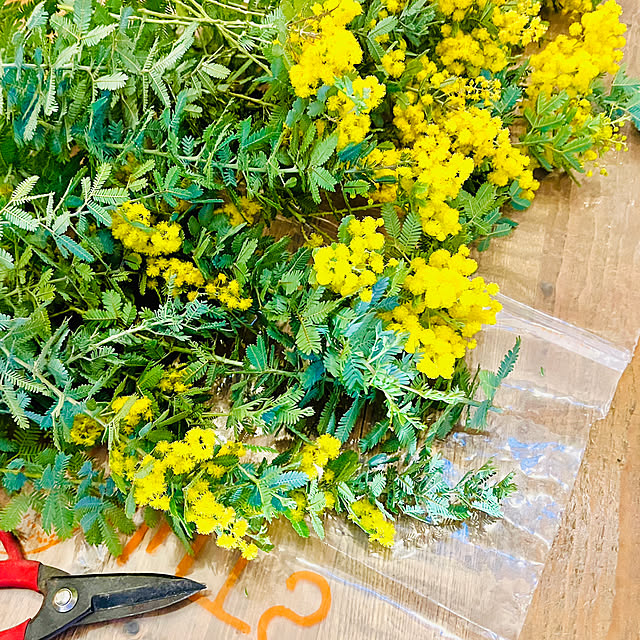 harumaruさんの部屋