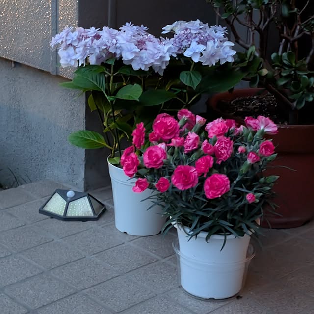 fuchan0930さんの部屋