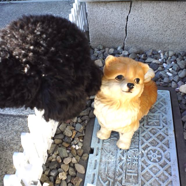 keitanさんの実例写真