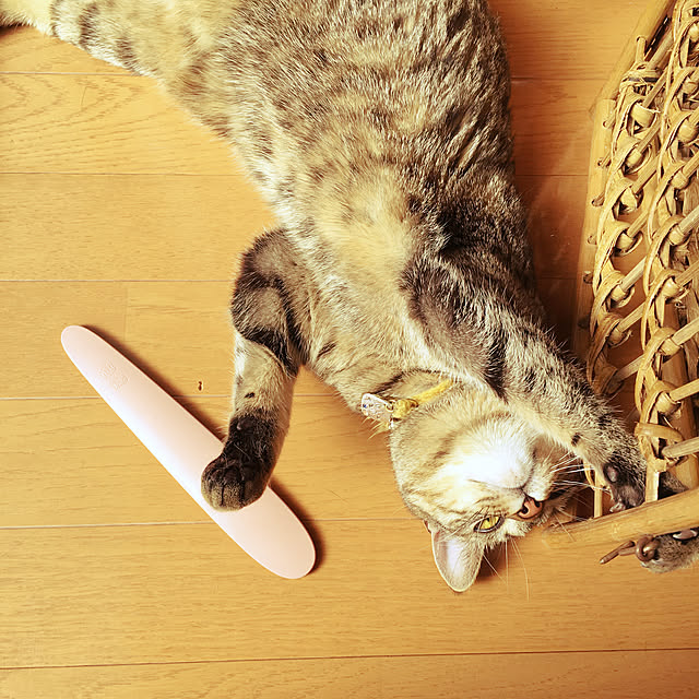 Mさんの実例写真
