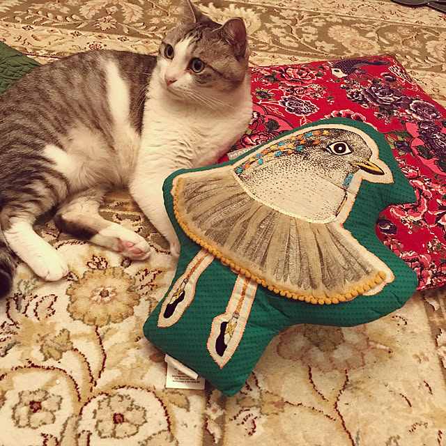 emmyyさんの実例写真