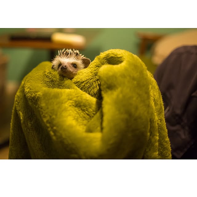 ctaさんの実例写真