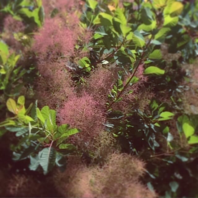 meg74さんの実例写真