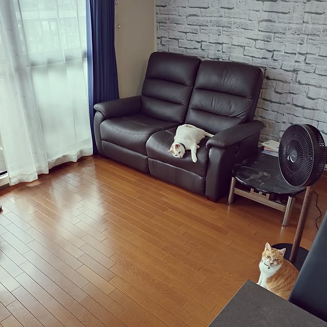 NOAHさんの実例写真