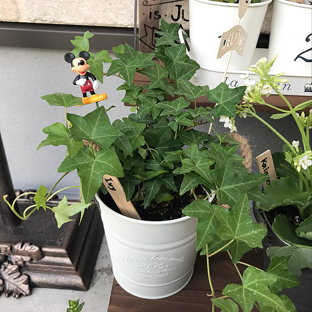 emiさんの実例写真