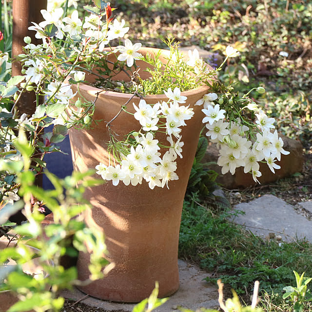 rokokoさんの実例写真