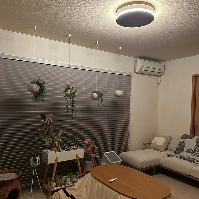 chinaさんの実例写真