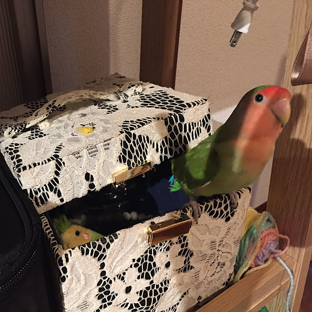 sariさんの実例写真