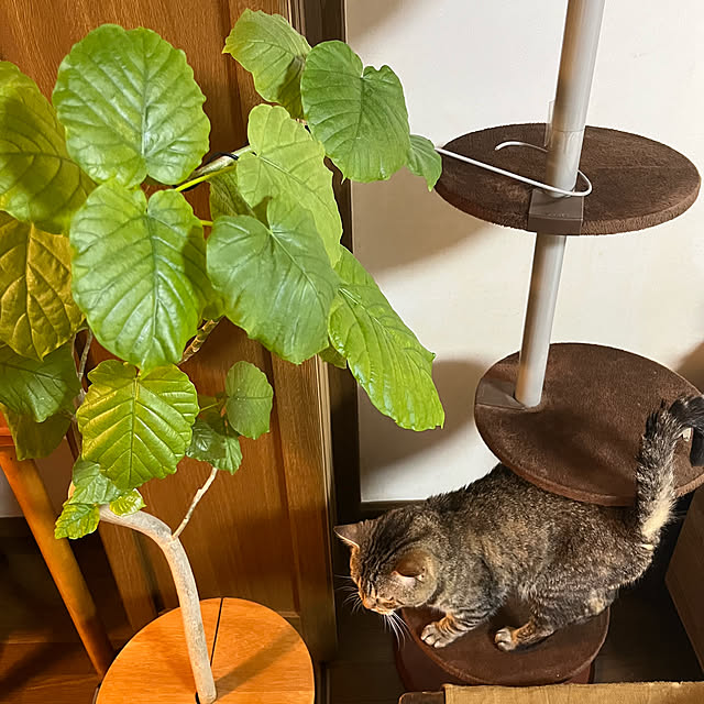 kuuさんの部屋