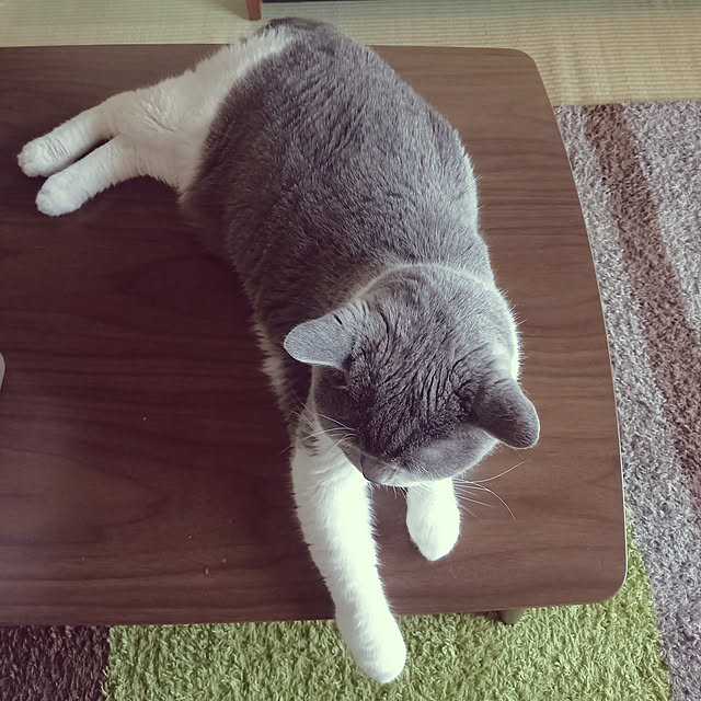 rhuさんの実例写真