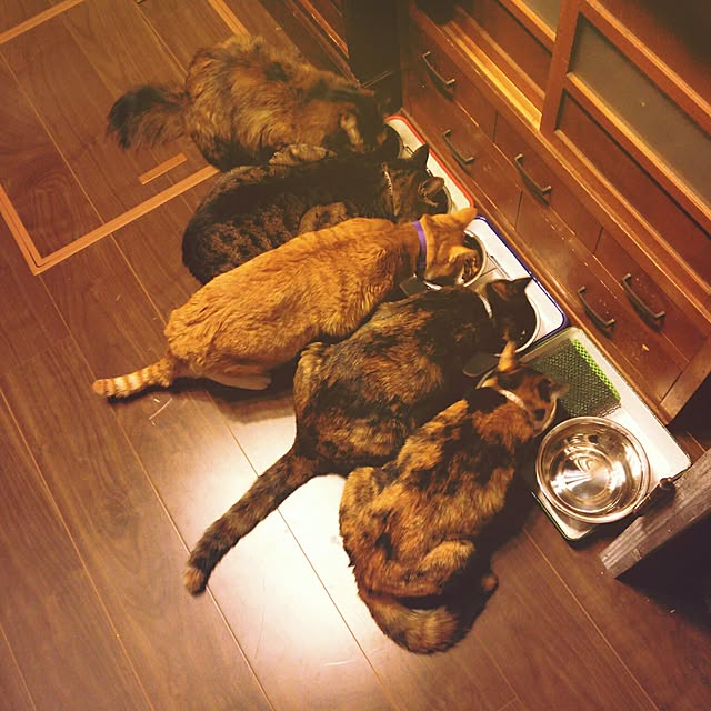 chamakonanさんの実例写真