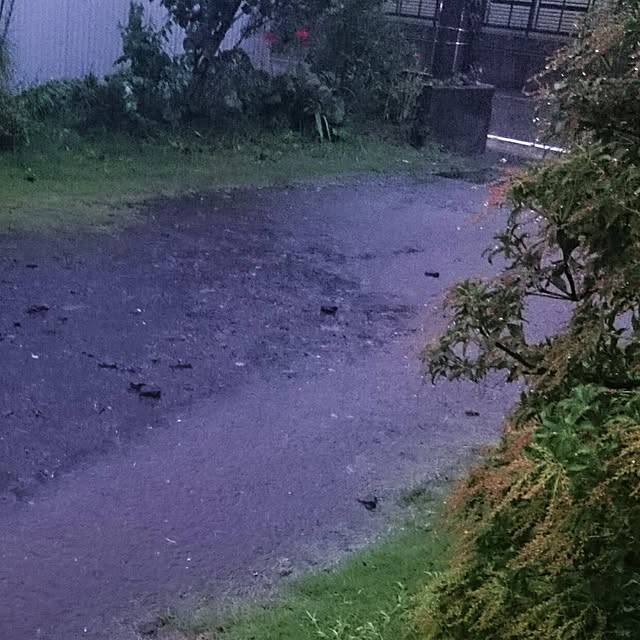 aomonさんの実例写真