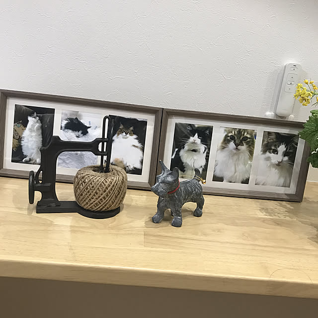 実例写真