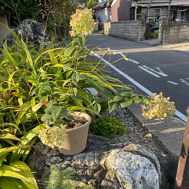 shin0719さんの実例写真