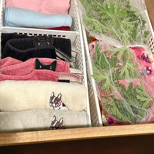 SIELUさんの部屋