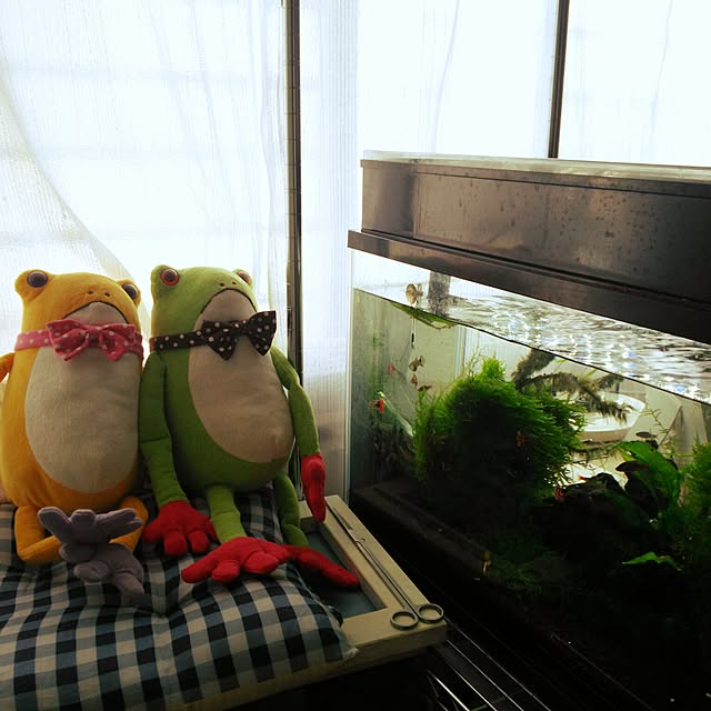 tenさんの実例写真