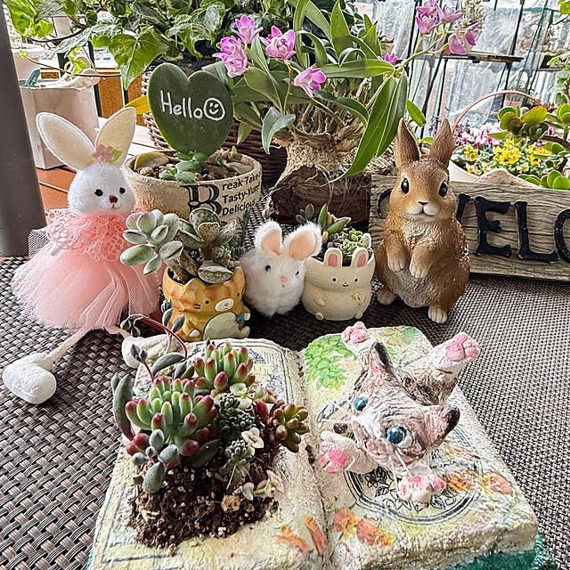 Aqettyさんの実例写真