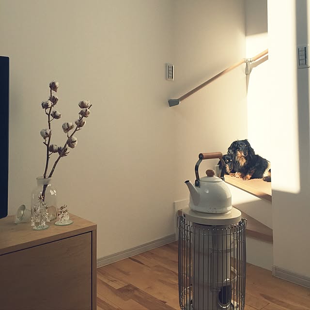 pipokiさんの実例写真