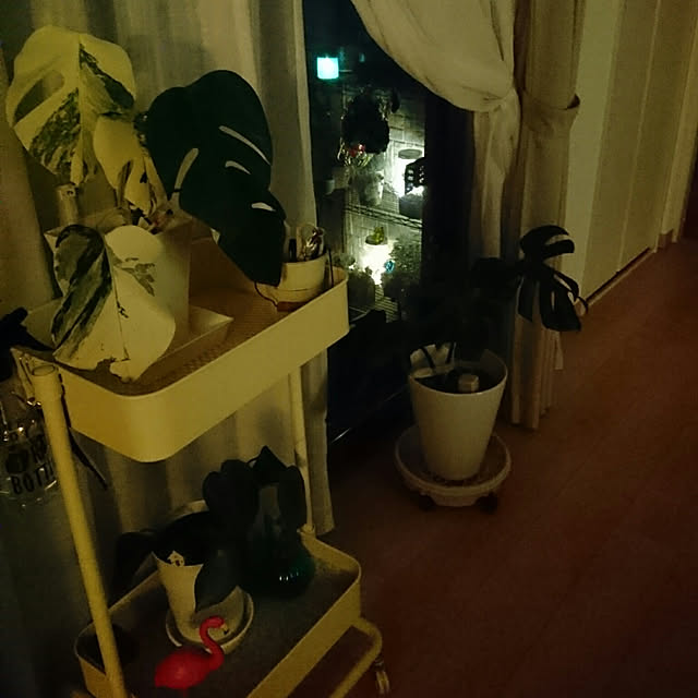 ranai6さんの実例写真