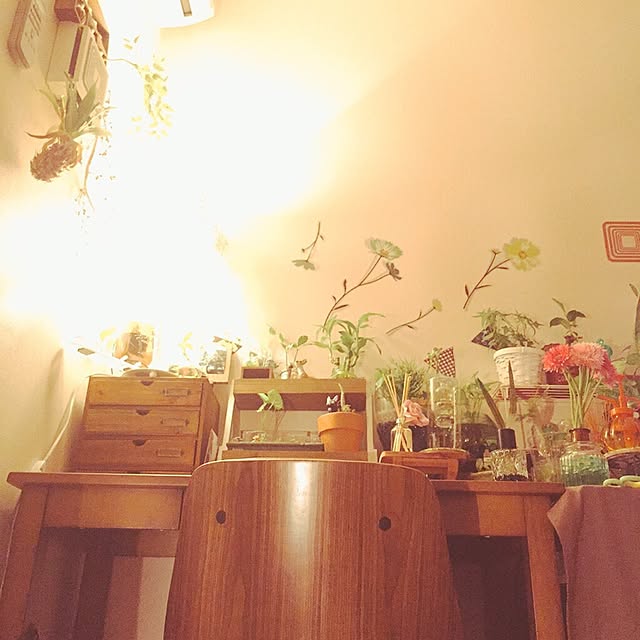 rieさんの実例写真