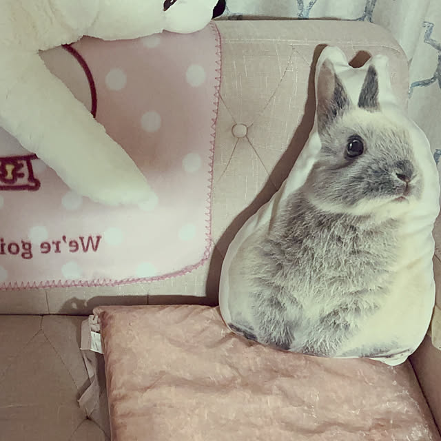 manekinekoさんの実例写真
