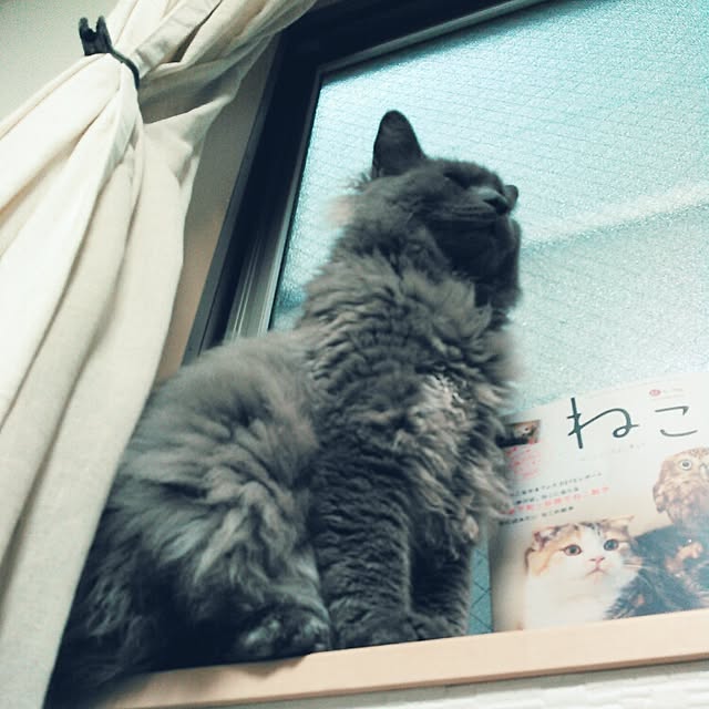mochiさんの実例写真