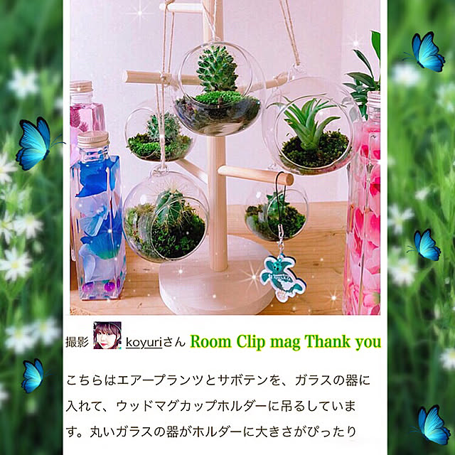 koyuriさんの実例写真