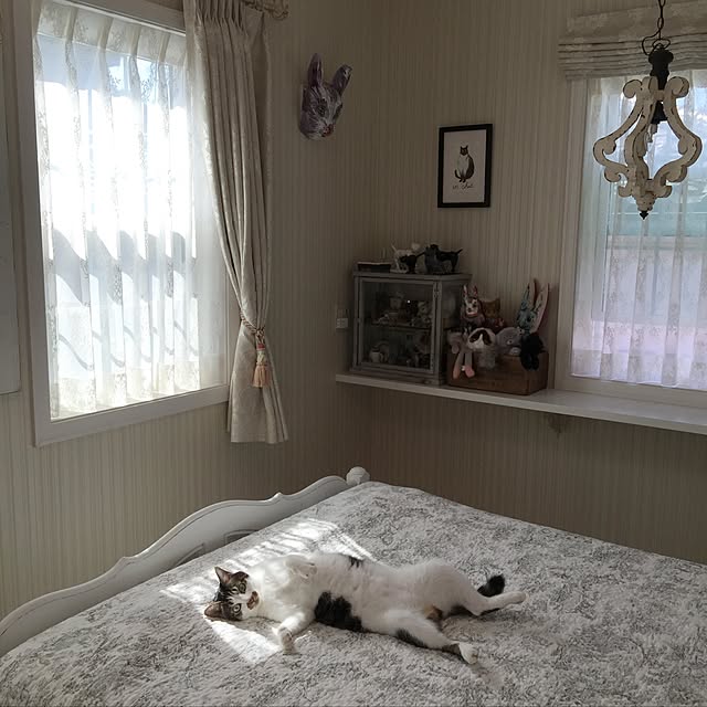 yuchiさんの実例写真