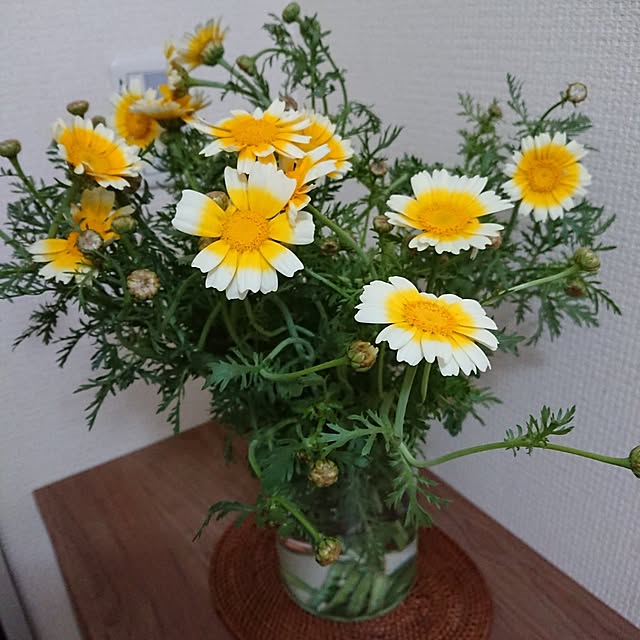 hopkeiさんの実例写真