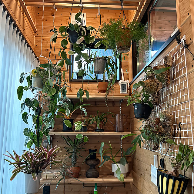 nene0183さんの実例写真