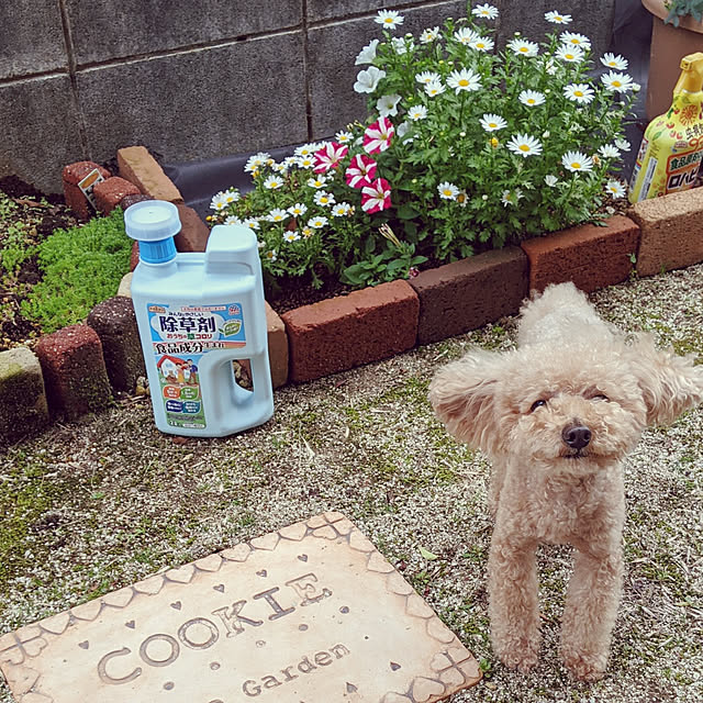 HIROMINさんの実例写真