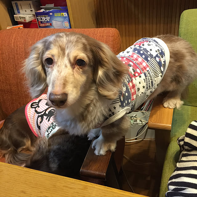Eikoさんの実例写真