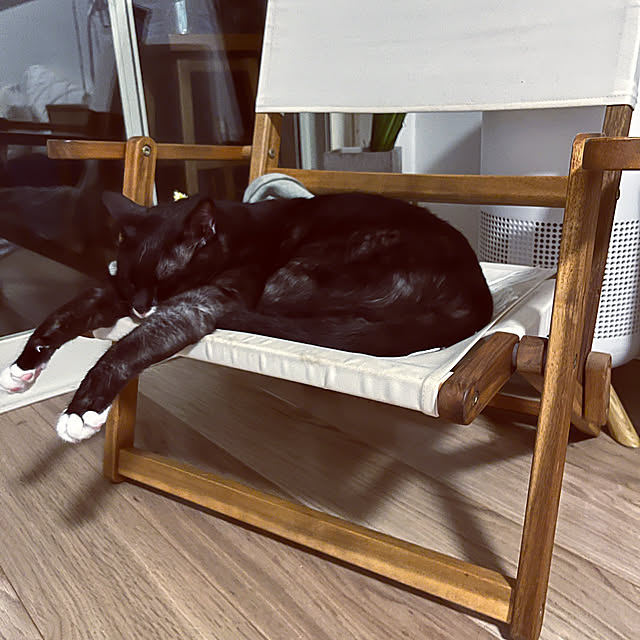 masamasaさんの実例写真