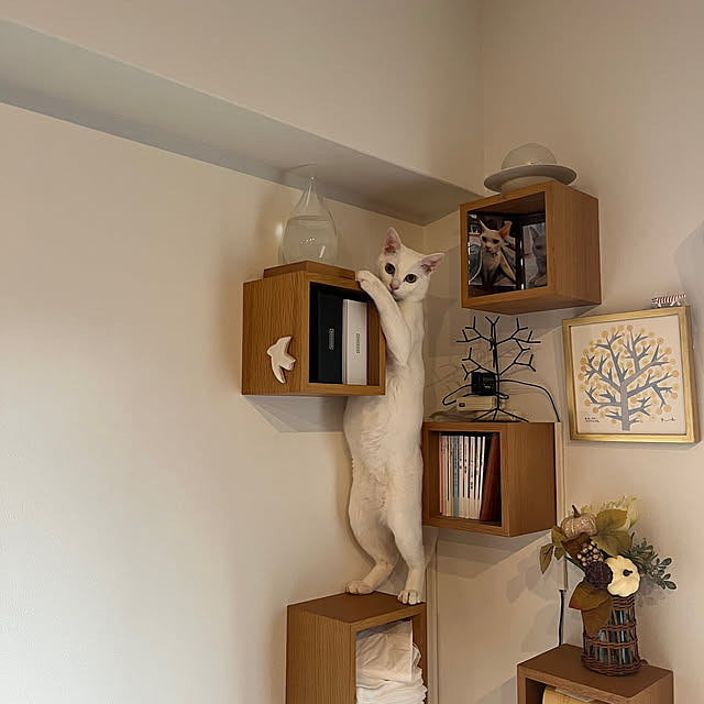 hanaさんの実例写真