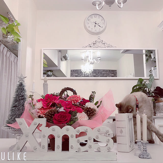 noelさんの実例写真