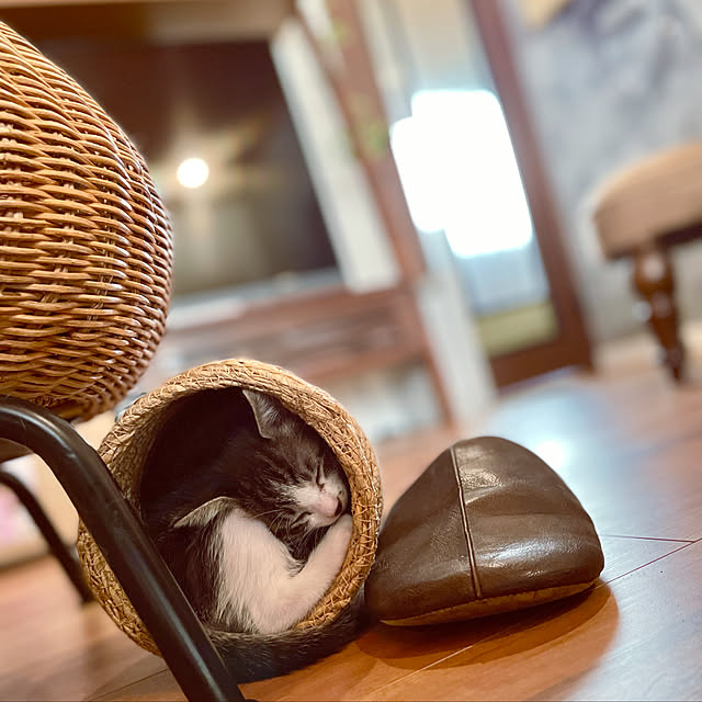 Yukinekoさんの実例写真