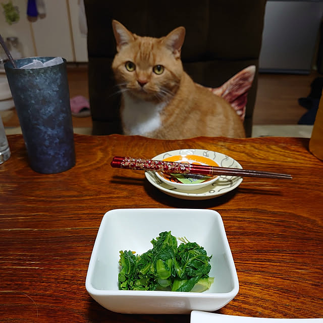 toramamaさんの実例写真