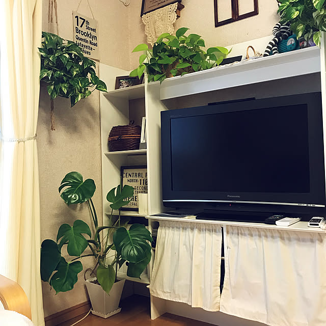 部屋全体/観葉植物/ポトス/モンステラ/IKEA...などのインテリア実例 - 2018-04-18 07:56:43