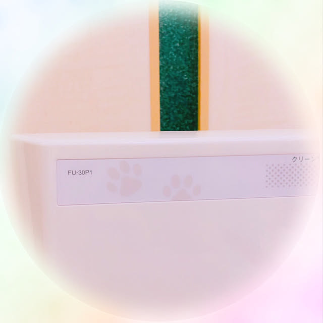 Ruiさんの実例写真