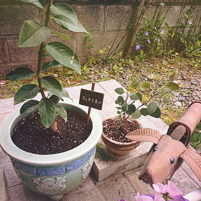 monblanさんの実例写真
