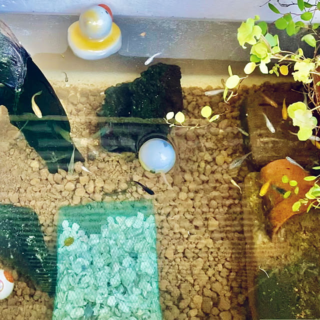 CoCo0617さんの部屋