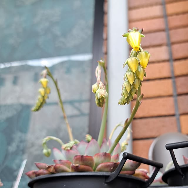 noaさんの部屋